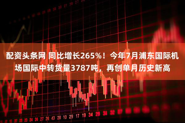 配资头条网 同比增长265%!今年7月浦东国际机场国际中转货量3787吨,再创单月历史新高